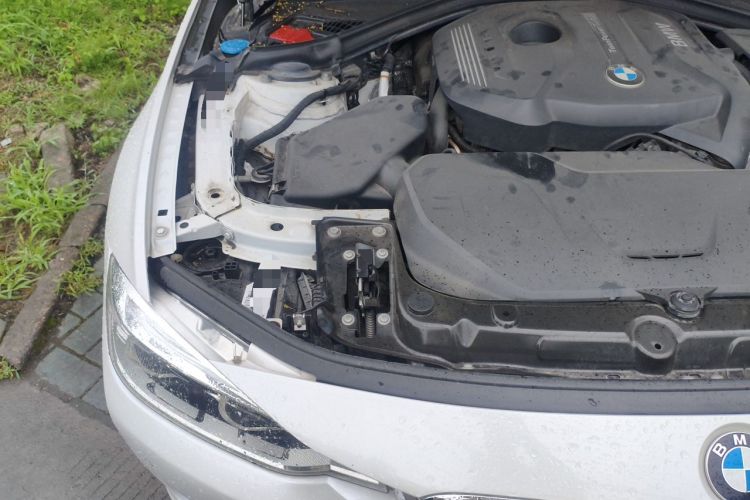 Used BMW 3 Series 2019 320Li Fashion Model Engine Bay Right