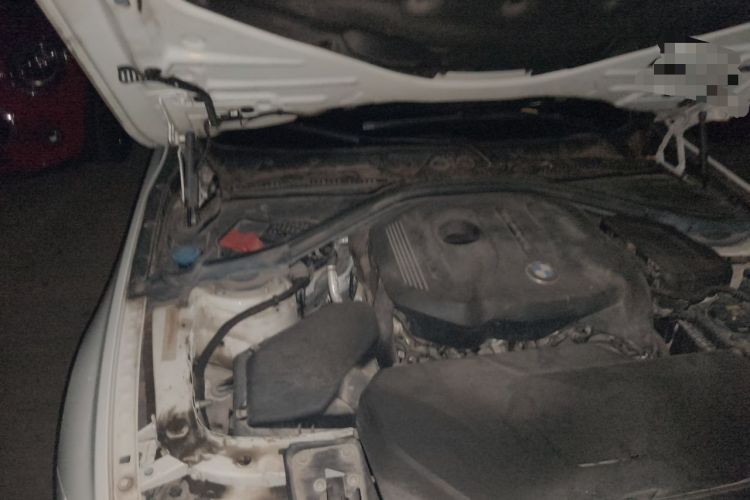 Used BMW 3 Series 2019 320Li M Sport Night Edition Engine Bay Right