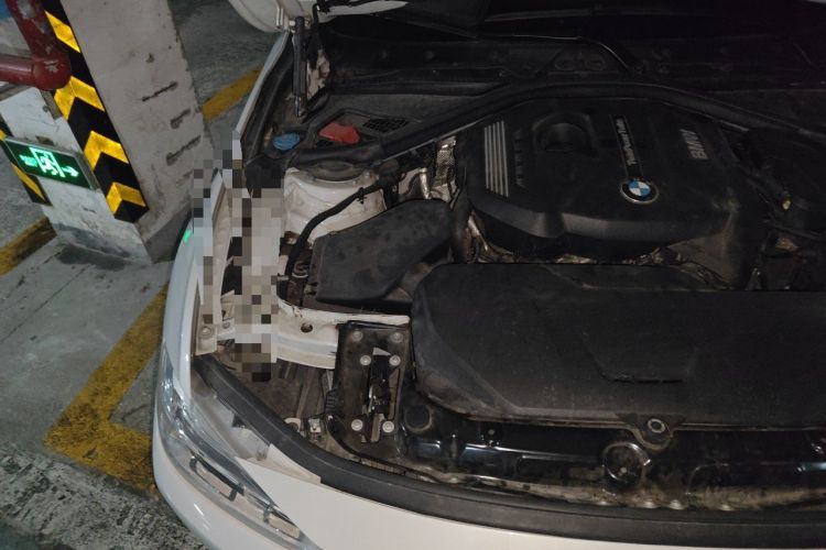 Used BMW 3 Series 2019 320Li Fashion Model Engine Bay Right