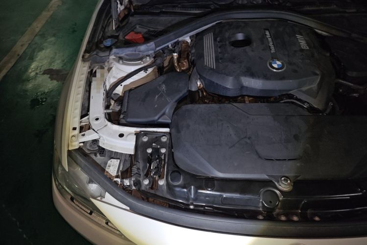 Used BMW 3 Series 2019 320Li Fashion Model Engine Bay Right