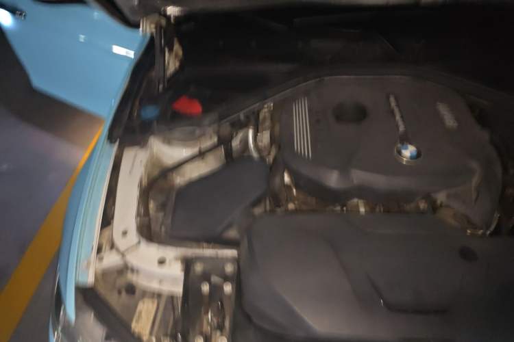 Used BMW 3 Series 2019 320Li Fashion Model Engine Bay Right