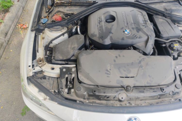 Used BMW 3 Series 2019 320Li M Luxury Package Engine Bay Right