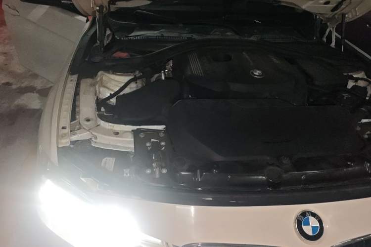 Used BMW 3 Series 2019 320Li M Sport Package Engine Bay Right