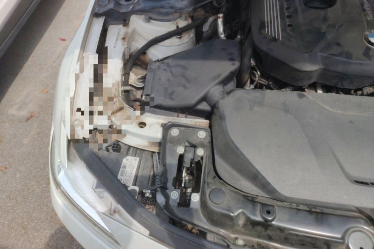 Used BMW 3 Series 2019 320Li Fashion Model Engine Bay Right