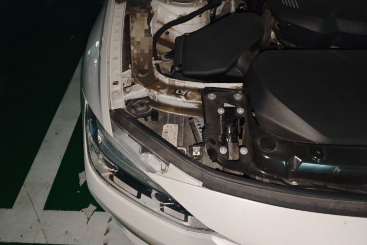 Used BMW 3 Series 2019 320Li Fashion Model Engine Bay Right