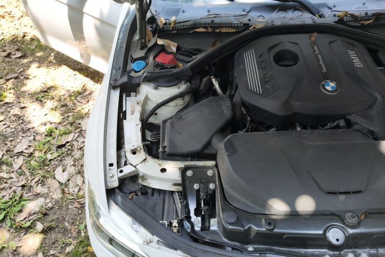 Used BMW 3 Series 2019 320Li M Sport Package Engine Bay Right