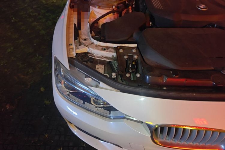 Used BMW 3 Series 2019 320Li Fashion Model Engine Bay Right