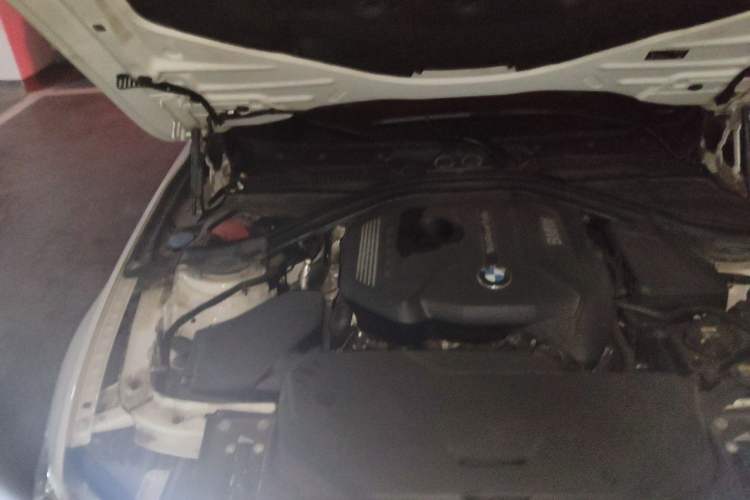 Used BMW 3 Series 2019 320i M Sport Package Engine Bay Right