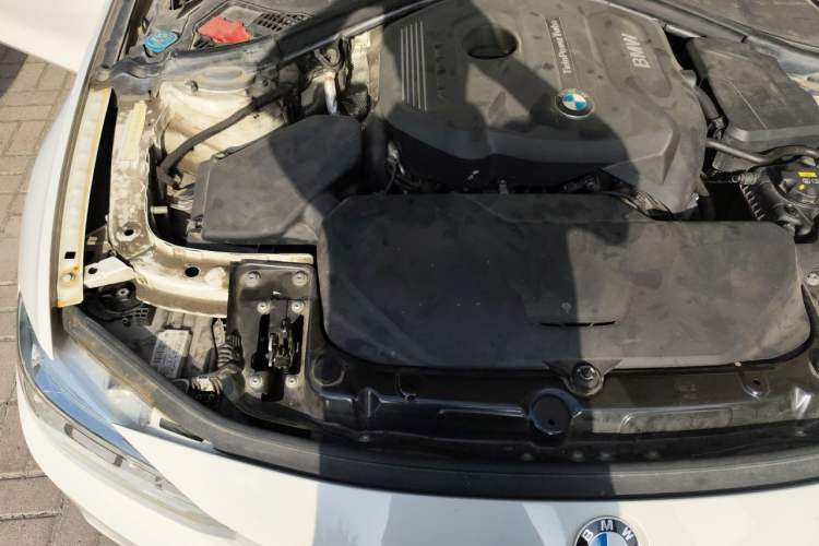 Used BMW 3 Series 2019 320Li M Luxury Package Engine Bay Right