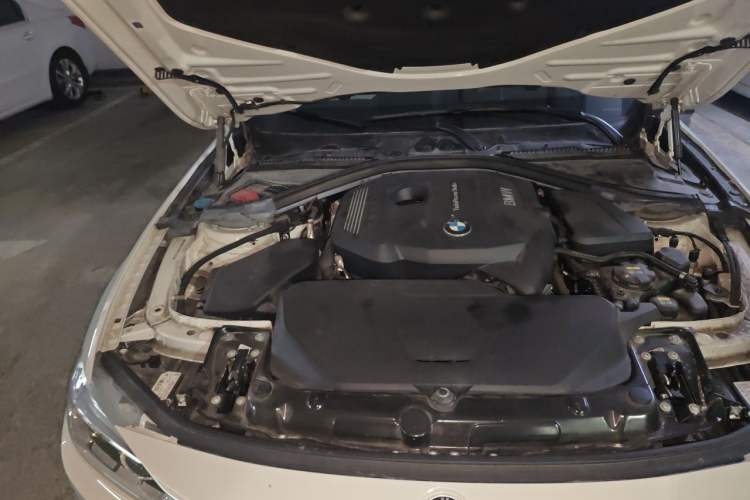 Used BMW 3 Series 2019 320Li M Sport Package Engine Bay Right