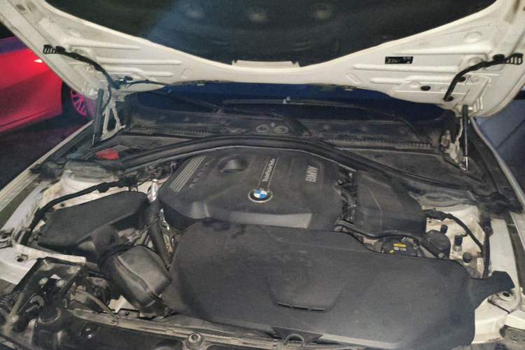 Used BMW 3 Series 2019 320Li Fashion Model Engine Bay Right