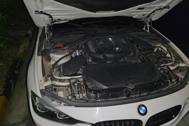 Used BMW 3 Series 2019 320Li M Sport Night Edition Engine Bay Right