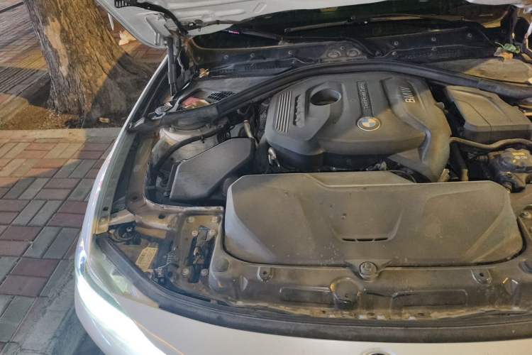 Used BMW 3 Series 2019 320Li xDrive Fashion Model Engine Bay Right