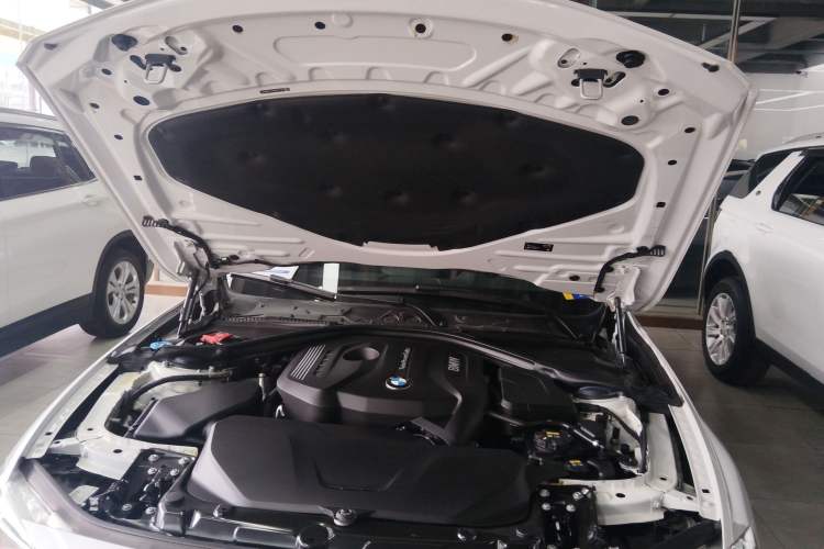 Used BMW 3 Series 2019 320Li Fashion Model Engine Bay