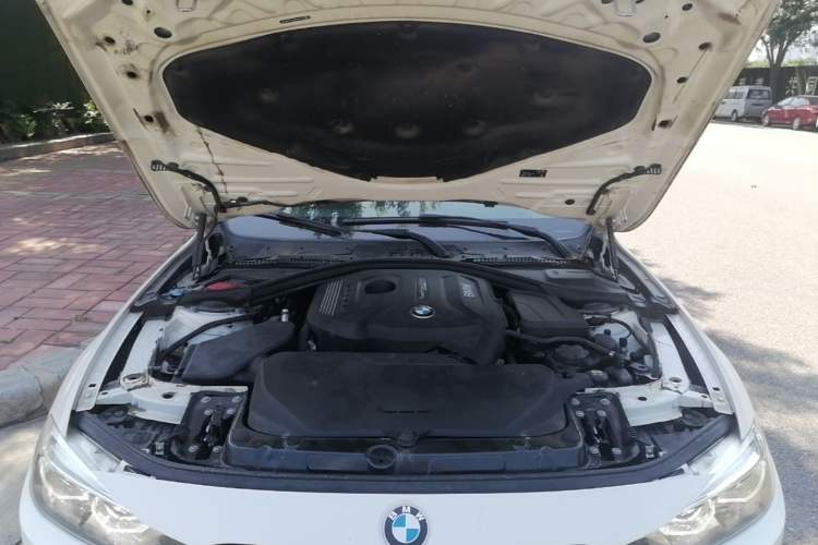 Used BMW 3 Series 2019 320Li M Sport Night Edition Engine Bay