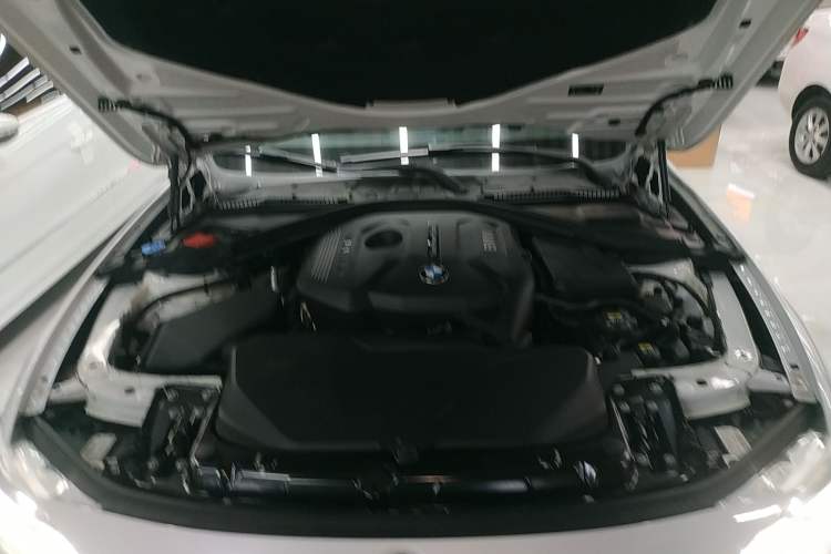 Used BMW 3 Series 2019 320Li xDrive Fashion Model Engine Bay