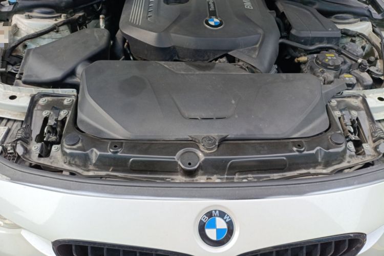 Used BMW 3 Series 2019 320Li Fashion Model Engine Bay