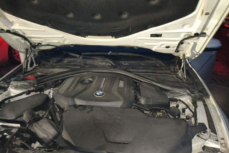 Used BMW 3 Series 2019 320Li Fashion Model Engine Bay