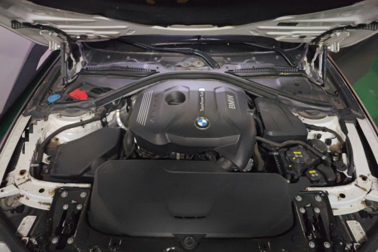 Used BMW 3 Series 2019 320Li xDrive Fashion Model Engine Bay