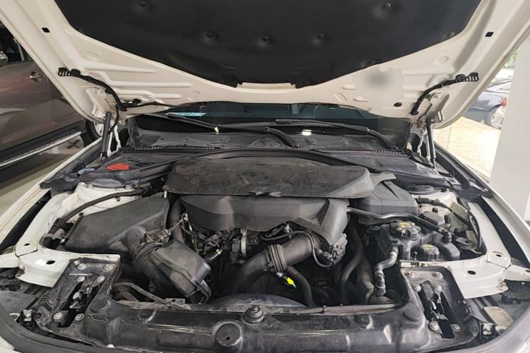 Used BMW 3 Series 2019 320Li Fashion Model Engine Bay
