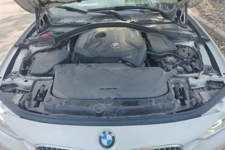 Used BMW 3 Series 2019 320Li Fashion Model Engine Bay