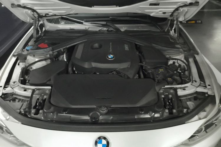 Used BMW 3 Series 2019 320Li Fashion Model Engine Bay