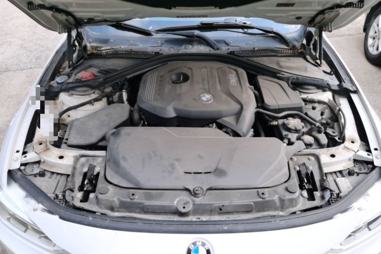 Used BMW 3 Series 2019 320Li M Sport Package Engine Bay
