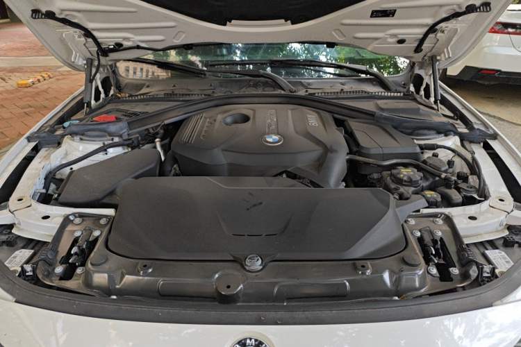 Used BMW 3 Series 2019 320Li Fashion Model Engine Bay