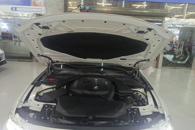 Used BMW 3 Series 2019 320Li M Sport Package Engine Bay