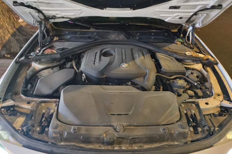 Used BMW 3 Series 2019 320Li xDrive Fashion Model Engine Bay