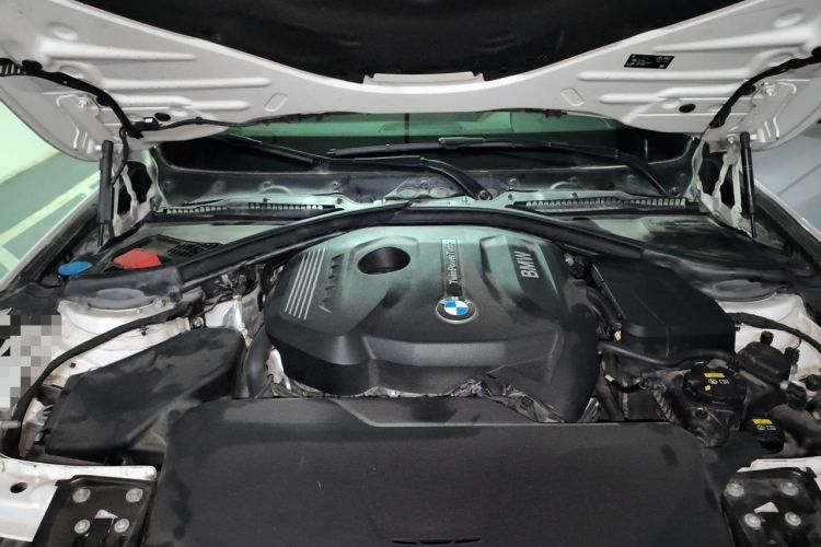 Used BMW 3 Series 2019 320Li M Sport Package Engine Bay