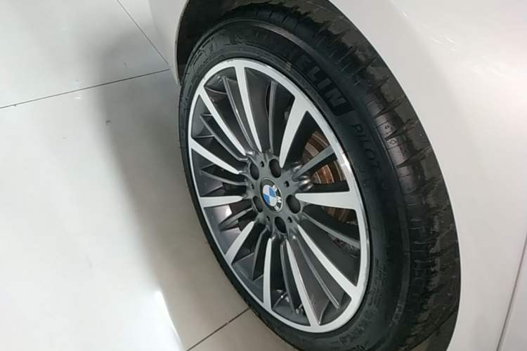 Used BMW 3 Series 2019 320Li Fashion Model Exterior 5