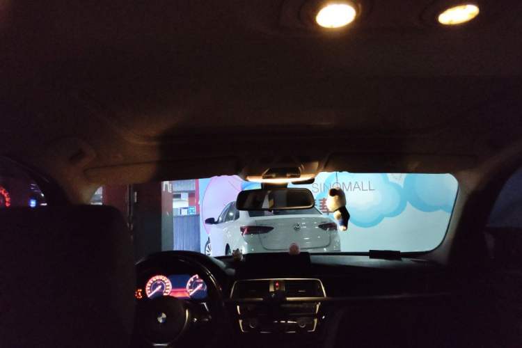 Used BMW 3 Series 2019 320Li M Sport Package Headliner