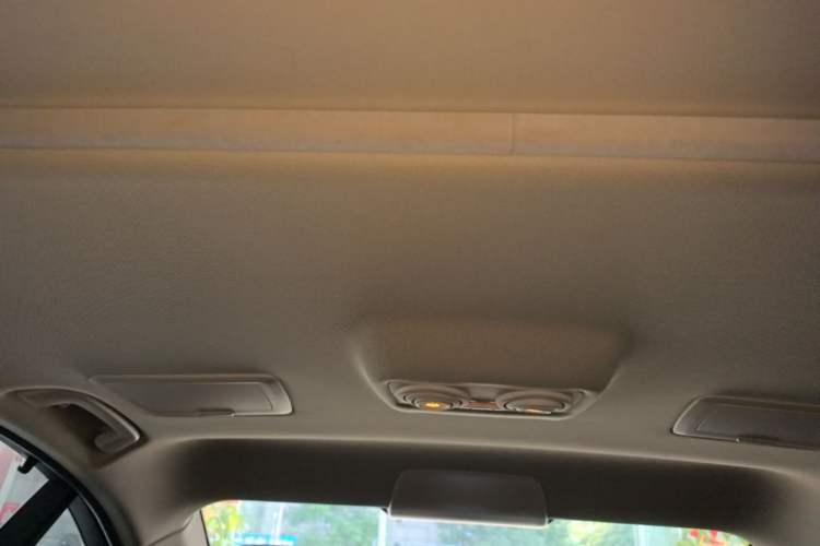 Used BMW 3 Series 2019 320Li Fashion Model Headliner