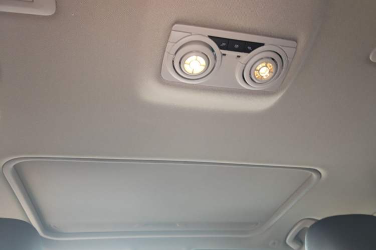 Used BMW 3 Series 2019 320Li Fashion Model Headliner