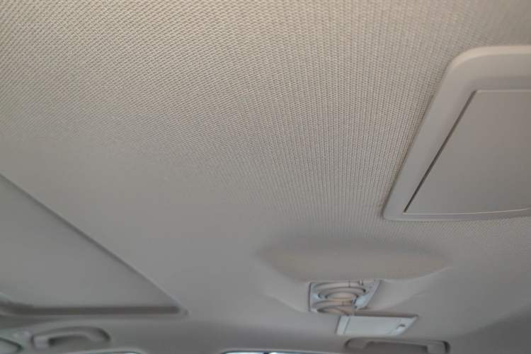 Used BMW 3 Series 2019 320Li Fashion Model Headliner