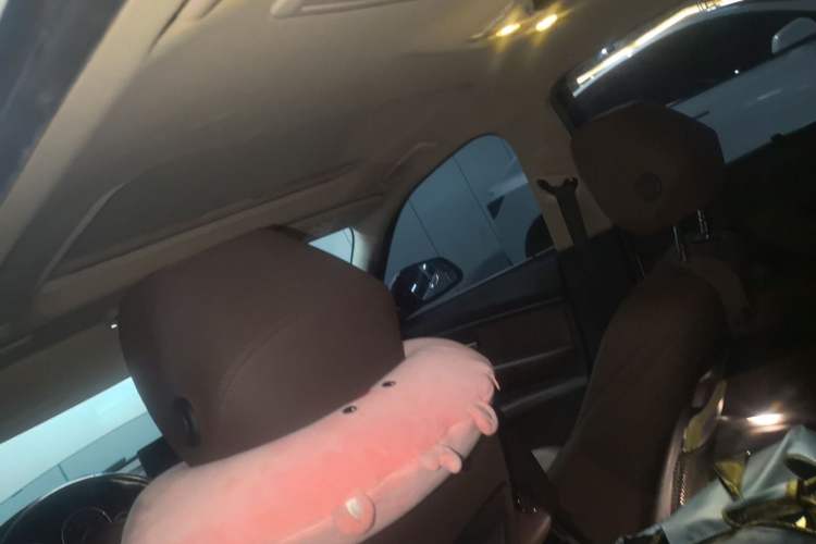 Used BMW 3 Series 2019 320Li Fashion Model Headliner