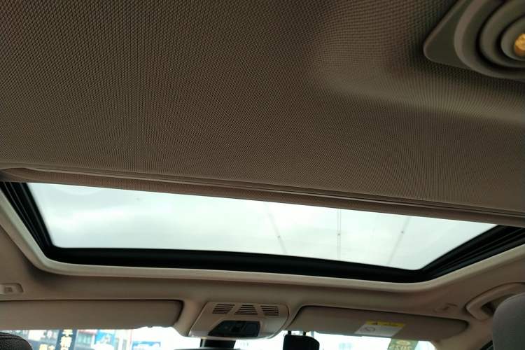Used BMW 3 Series 2019 320Li Fashion Model Headliner
