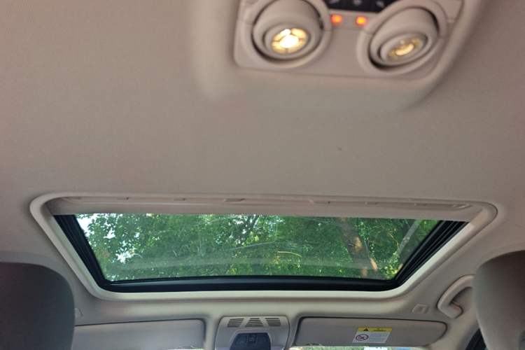 Used BMW 3 Series 2019 320Li Fashion Model Headliner