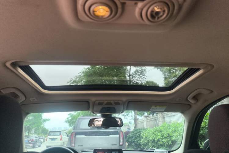 Used BMW 3 Series 2019 320Li Fashion Model Headliner