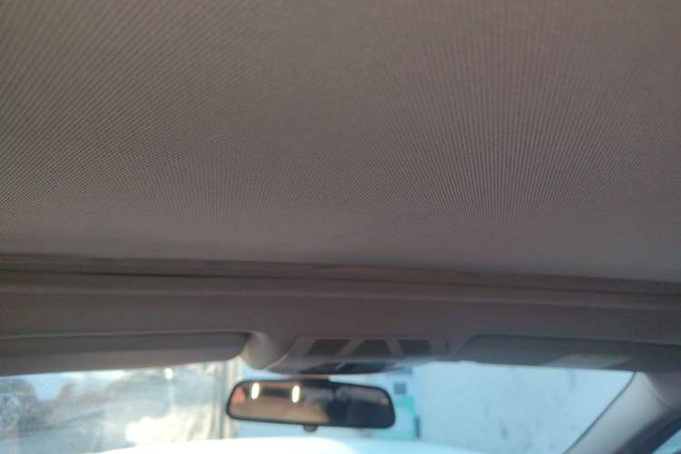 Used BMW 3 Series 2019 320Li M Luxury Package Headliner