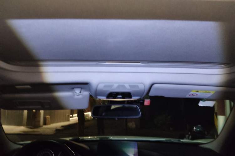 Used BMW 3 Series 2019 320Li Fashion Model Headliner