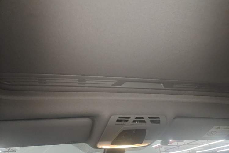 Used BMW 3 Series 2019 320Li M Sport Night Edition Headliner