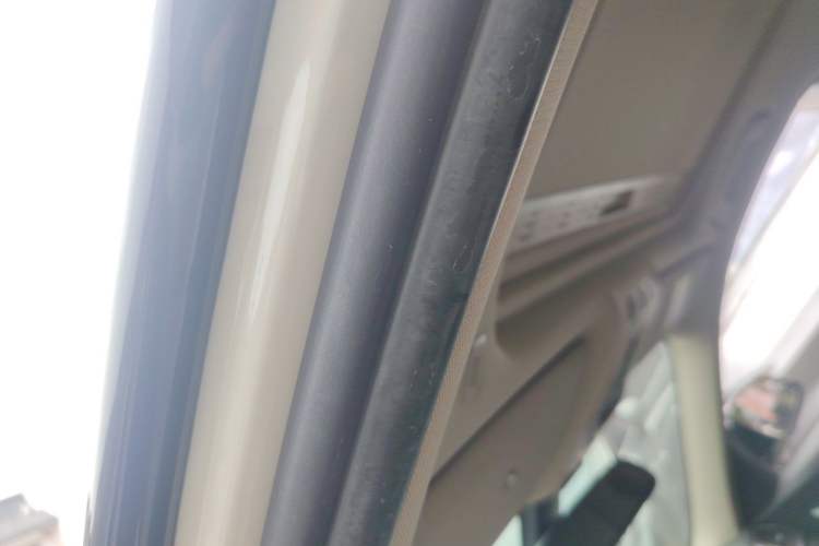 Used BMW 3 Series 2019 320Li M Luxury Package Headliner
