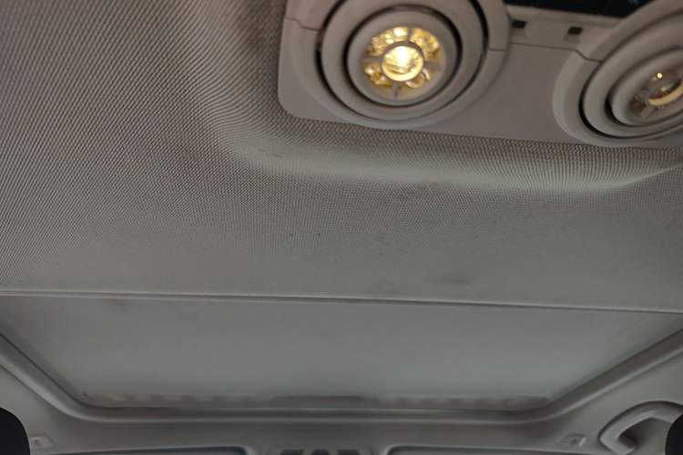 Used BMW 3 Series 2019 320Li Fashion Model Headliner