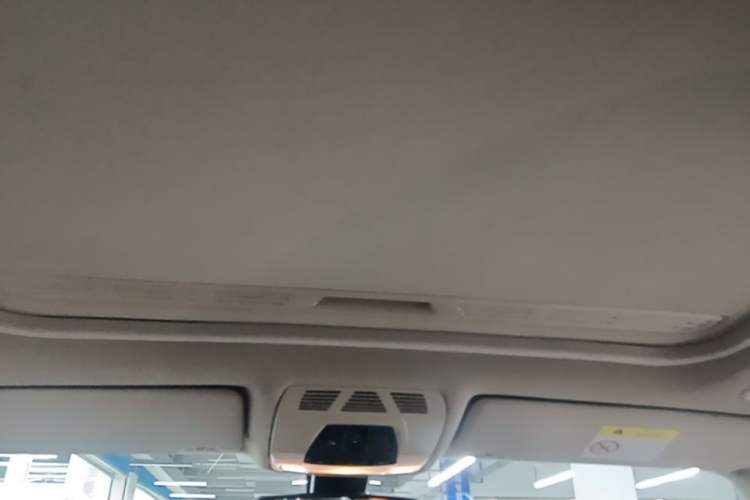 Used BMW 3 Series 2019 320Li Fashion Model Headliner