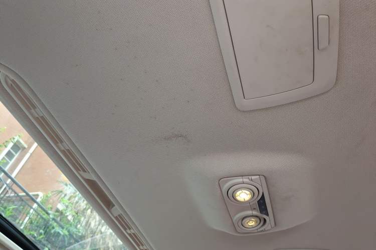 Used BMW 3 Series 2019 320Li Fashion Model Headliner