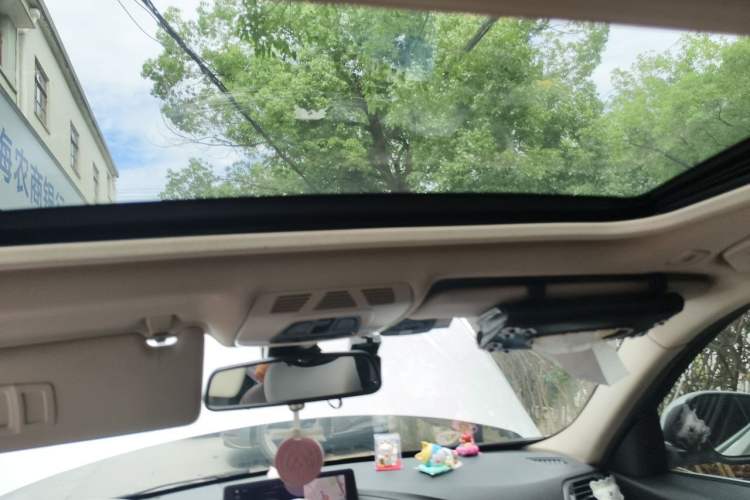 Used BMW 3 Series 2019 320Li Fashion Model Headliner