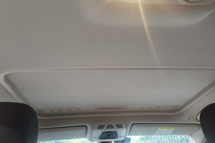 Used BMW 3 Series 2019 320Li Fashion Model Headliner
