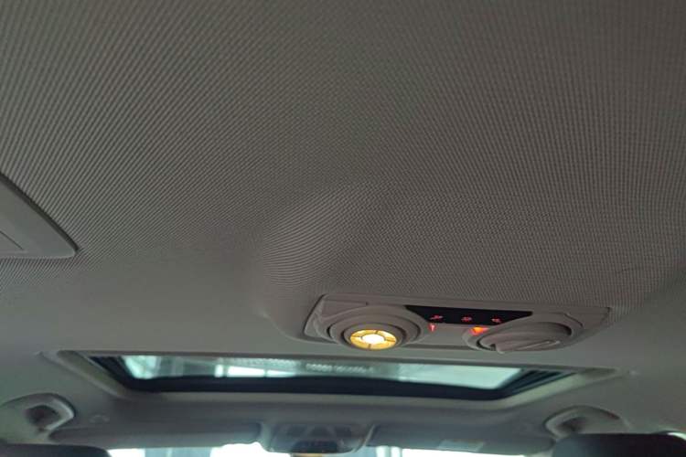 Used BMW 3 Series 2019 320Li Fashion Model Headliner